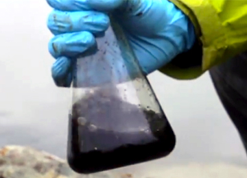 coalwater coalwater
